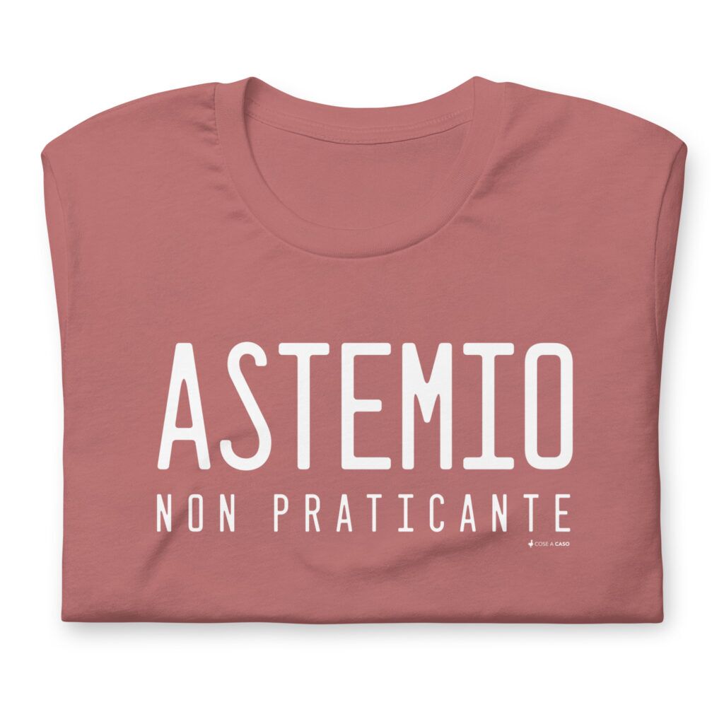 unisex-staple-t-shirt-mauve-front-679501307813c.jpg